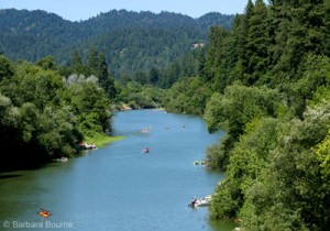 Get Involved in the Russian River Watershed Cleanup
